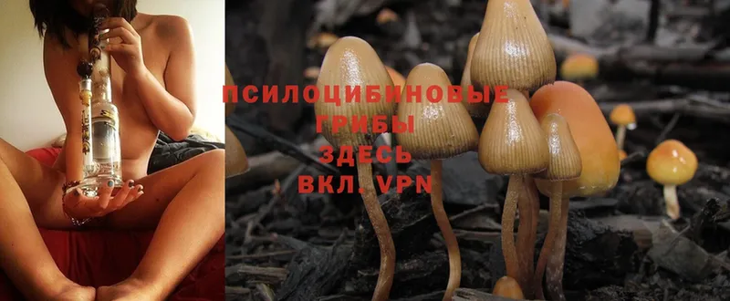 Галлюциногенные грибы MAGIC MUSHROOMS  магазин  наркотиков  MEGA маркетплейс  это телеграм  Белебей 